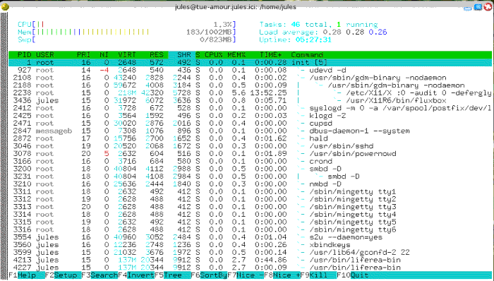 htop dans toute sa splendeur